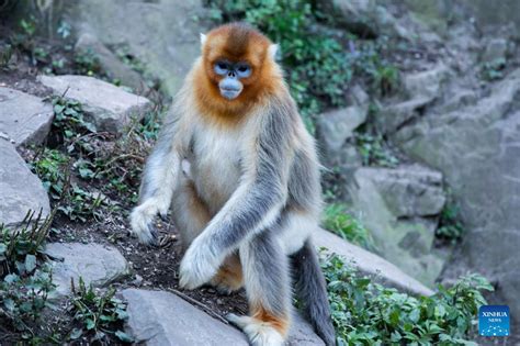 玉合公園怎樣？從多角度探討其魅力